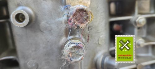 IMG_20230914_175658